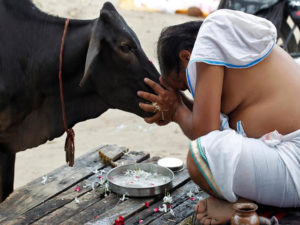 cow-gau-rakshak