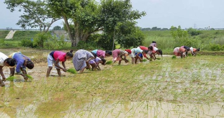 किसानों की आमदनी बढ़ाने के लिए योगी सरकार करने जा रही है ये काम, केंद्र सरकार ने दी योजना को मंजूरी