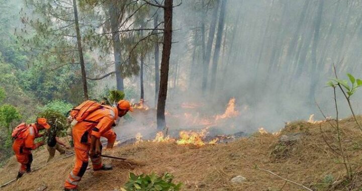 जम्मू-कश्मीरः माता वैष्णो देवी मंदिर के पास जंगलों में लगी आग