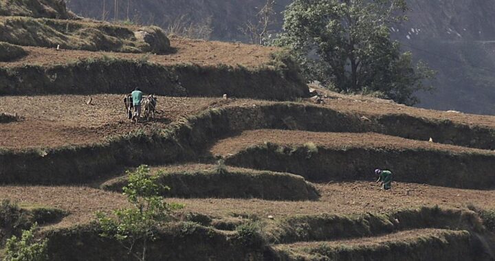 मनरेगा के तहत बंजर जमीन होगी आबाद, जल्द होगी कार्यक्रम की शुरुआत