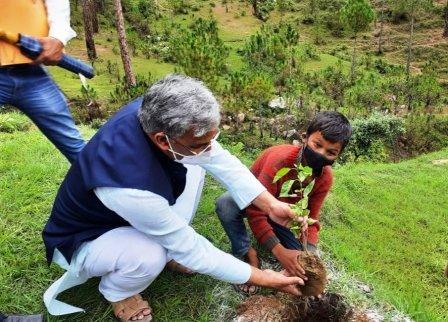 पूर्व सीएम त्रिवेन्द्र ने कोसी काटली में किया प्रतीकात्मक वृक्षारोपण बोले- पर्यावरण की सुरक्षा हम सबका दायित्व