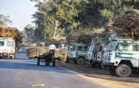 गन्ना किसानों को बड़ा तोहफा, सरकार ने FRP बढ़ाकर 290 रुपए प्रति क्विंटल किया