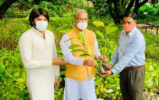 जन सहभागिता से सिद्धि की ओर बढ़ रहा है त्रिवेंद्र का एक लाख पौधरोपण का लक्ष्य