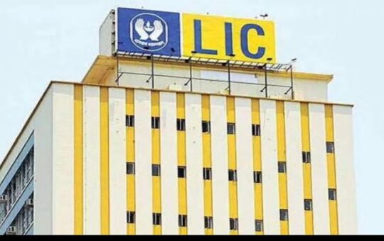 LIC IPO को निवेशकों ने हाथों-हाथ लिया, सिर्फ 90 मिनट में करीब 20 फीसदी सब्सक्राइब हुआ आईपीओ