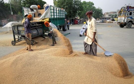 एफसीआई का ऐलान, गेहूं निर्यात पर प्रतिबंध जारी रहेगा