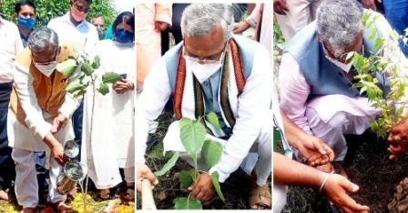 वृक्षों को लगाने के साथ-साथ बड़े होने तक उनका संरक्षण भी है अत्यंत जरूरी: त्रिवेन्द्र