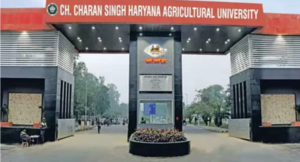 ccs haryana agriculture university